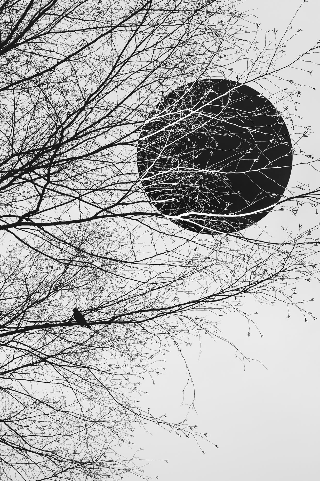 winter_21-013