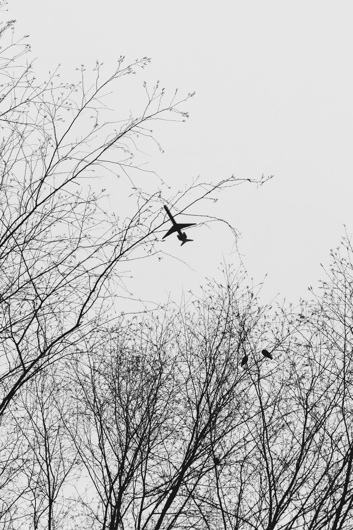 winter_21-021