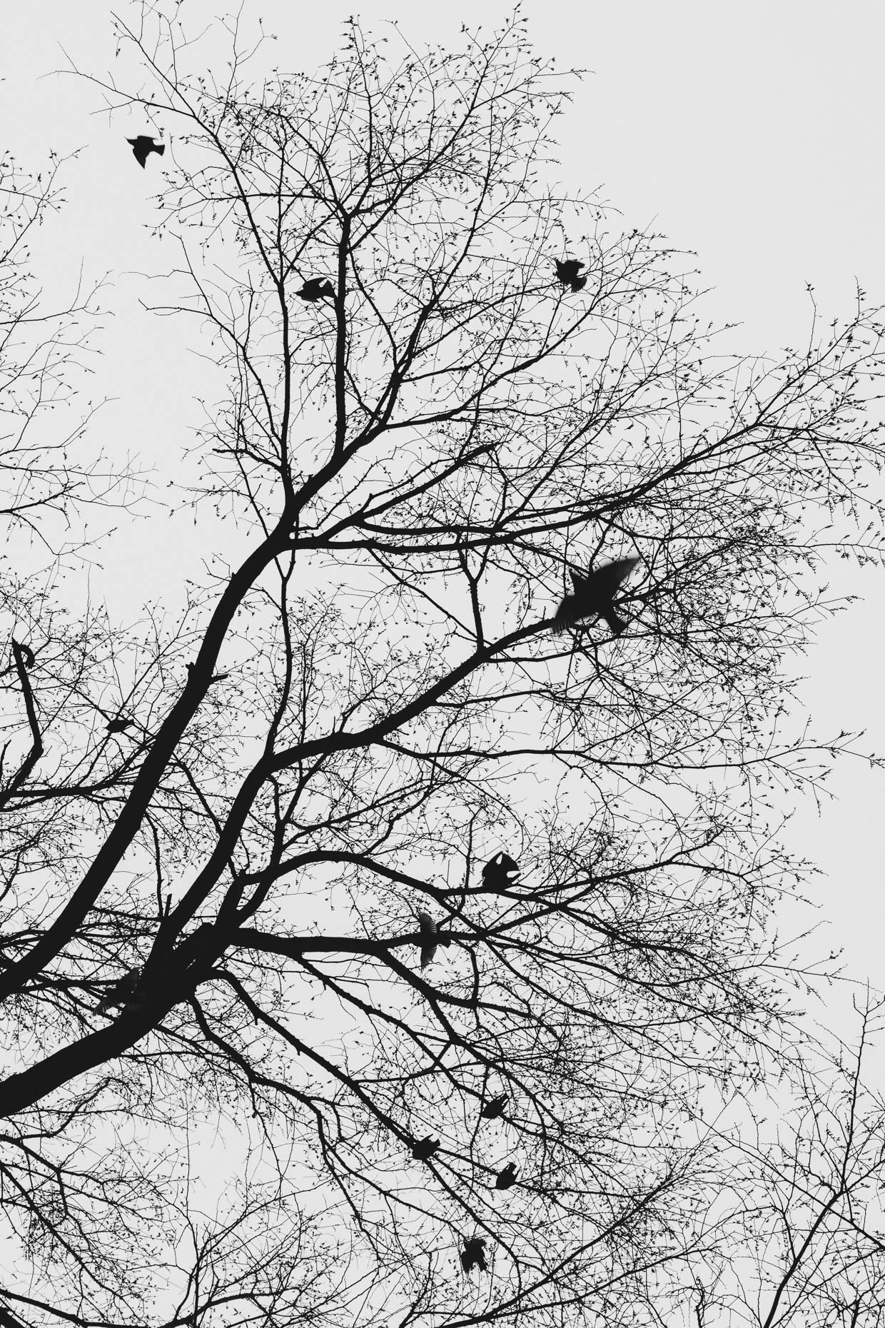 winter_21-027