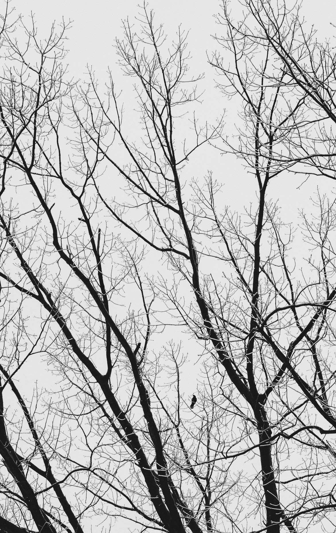 winter_21-039